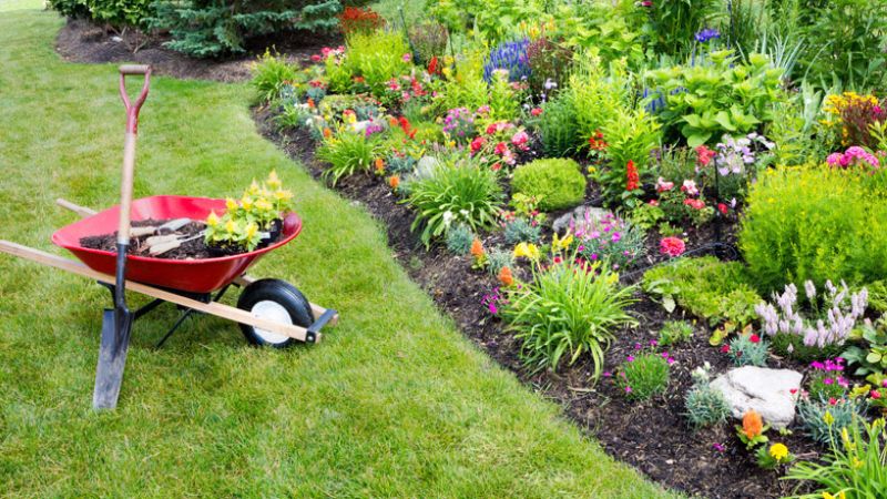 Landscaping & Garden Maintenance Services